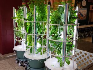 Hydroponic